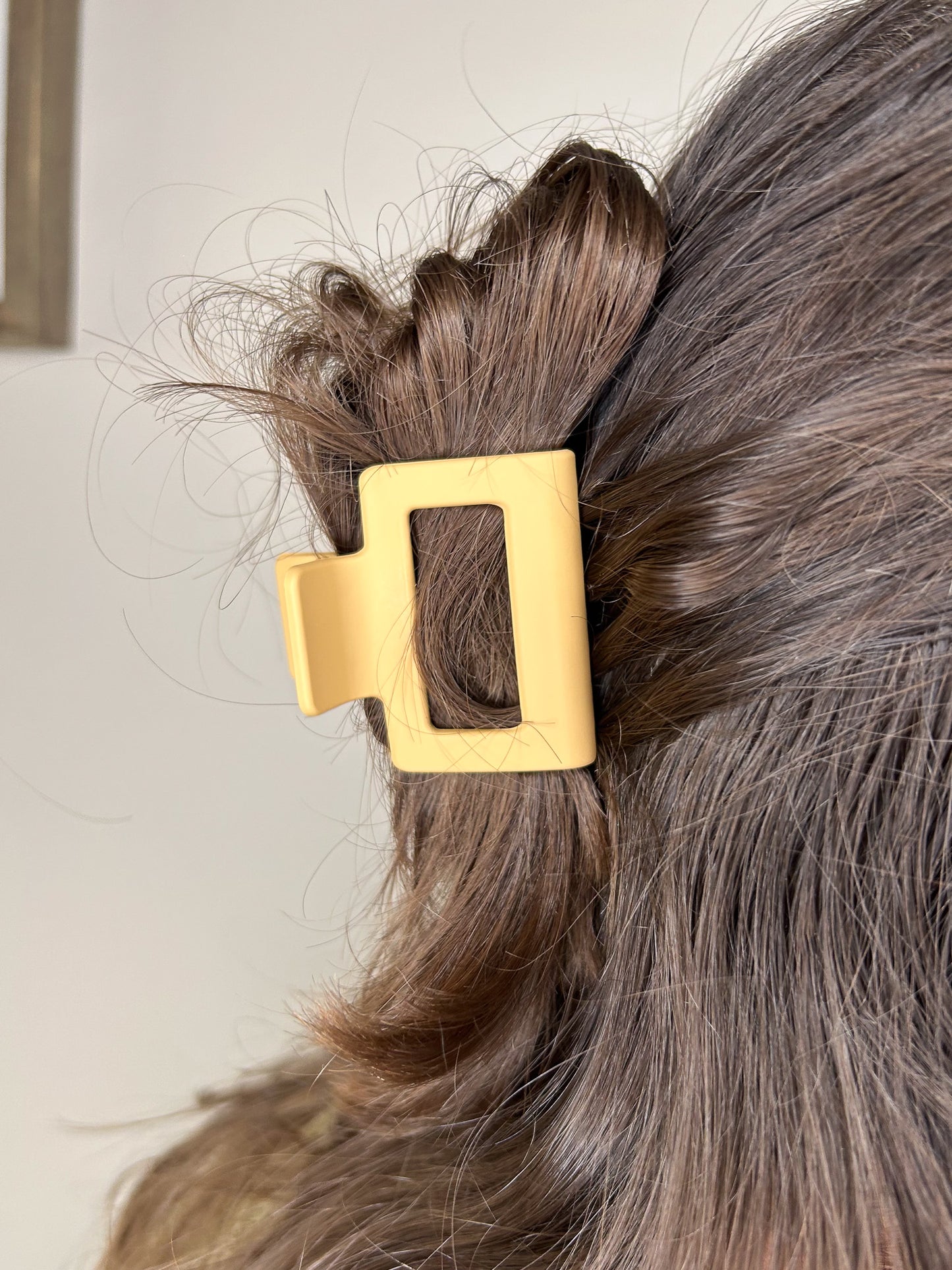 Small Square Claw Clip