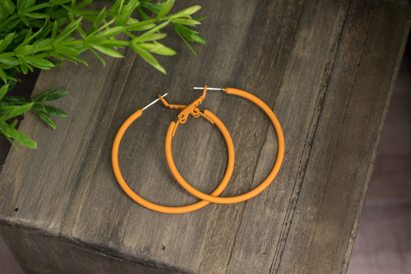 Color Hoops Earrings
