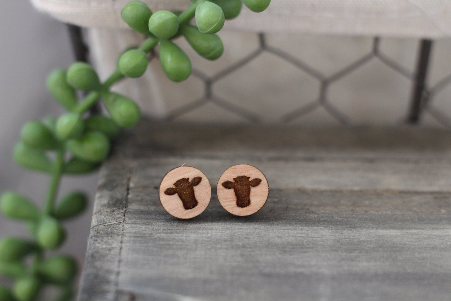 Wooden Cow Studs